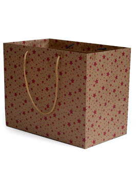 Craft Star Paper Design Bag for Packing Paper Bags