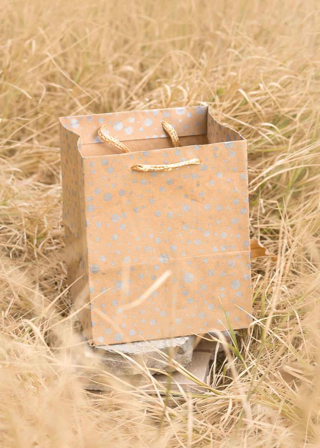 Craft Paper Dotted Pattern - Craft Paper Bag - Golden Silver Red - 5x5 Paper Bag