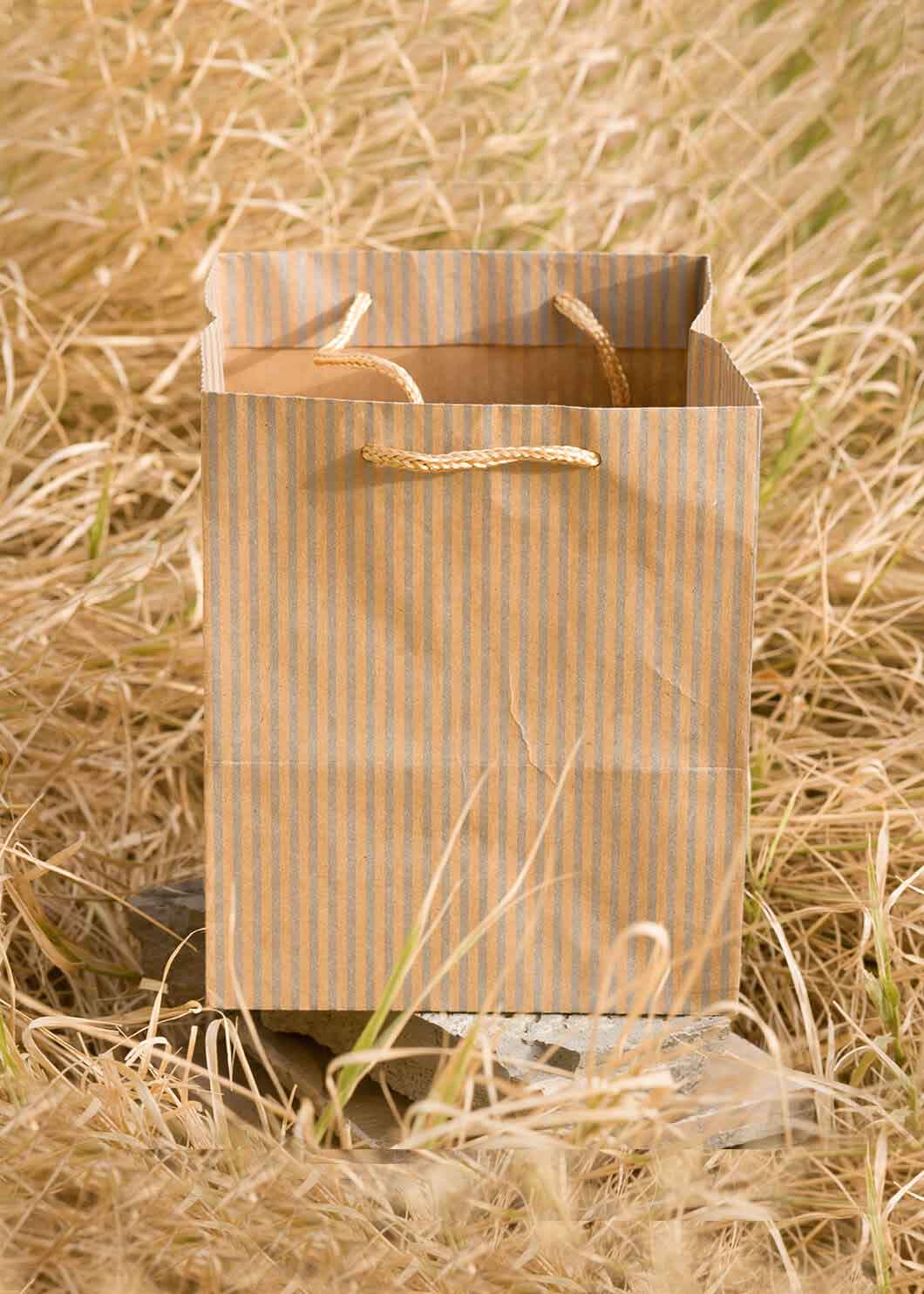 Craft Paper Bag Line Pattern - Craft Bag - Golden Silver Red - 5x5 Paper Bag