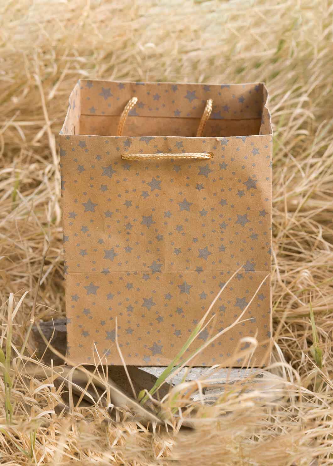 Craft Paper Bag Star Pattern - Craft Bag - Golden Silver Red - 5x5 Paper Bag