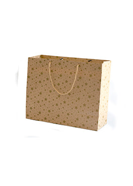 Craft Star Paper Design Bag for Packing Paper Bags