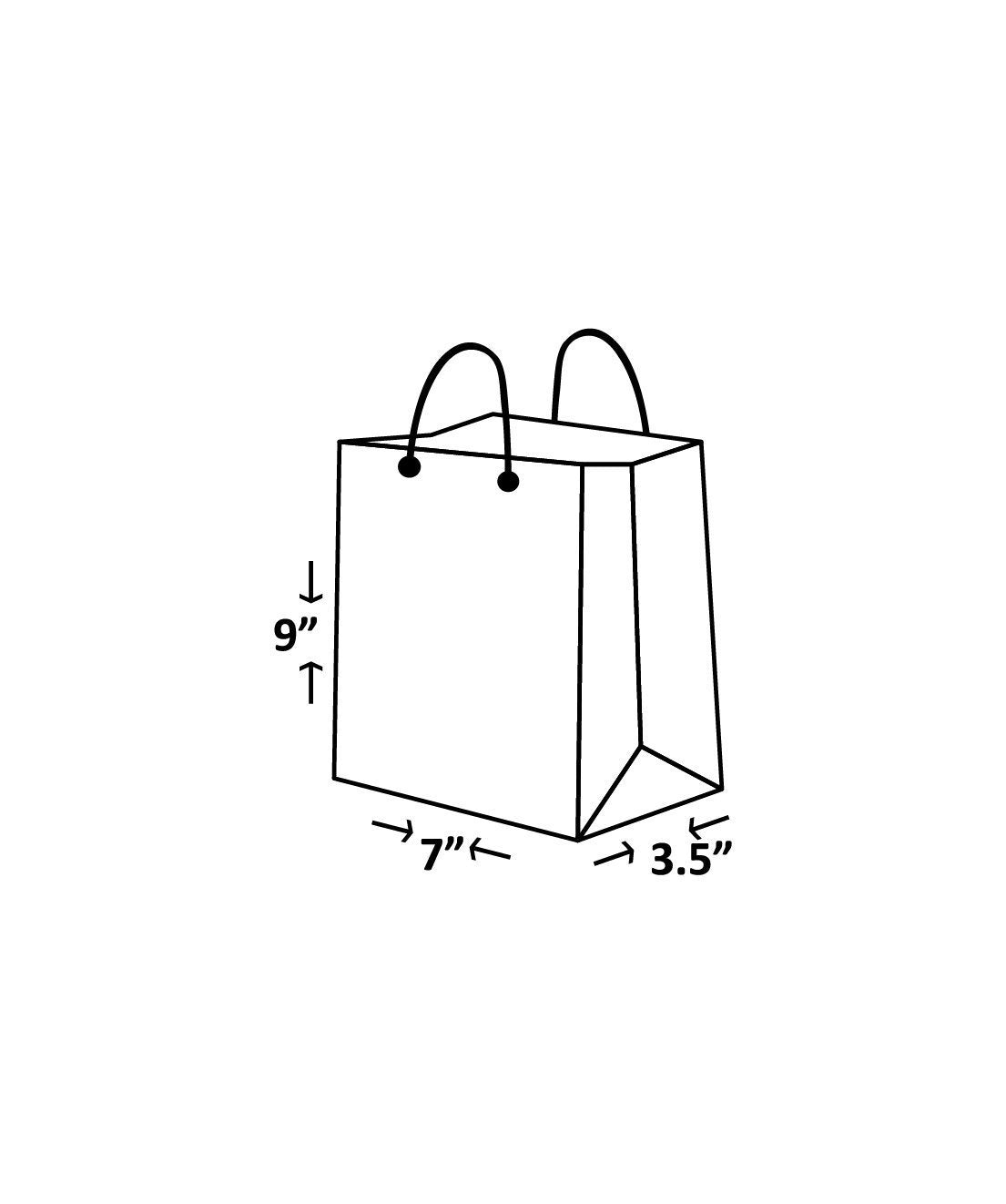 Shiny Bag - Plain Shiny White Handle - Laminated Paper Bag